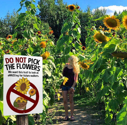 Sunflower Maze Rule Signs