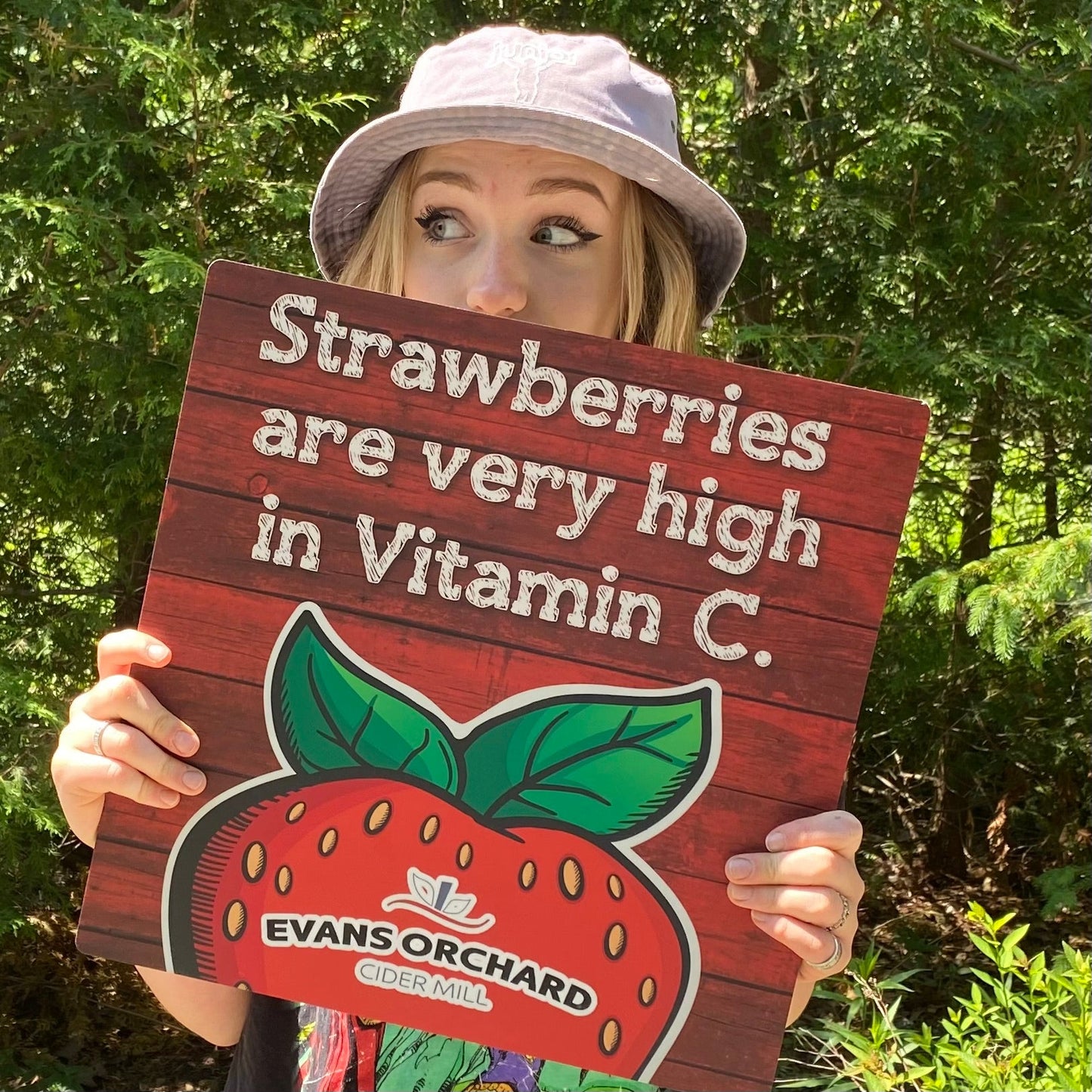 Strawberry Fact Signs (set of 6)