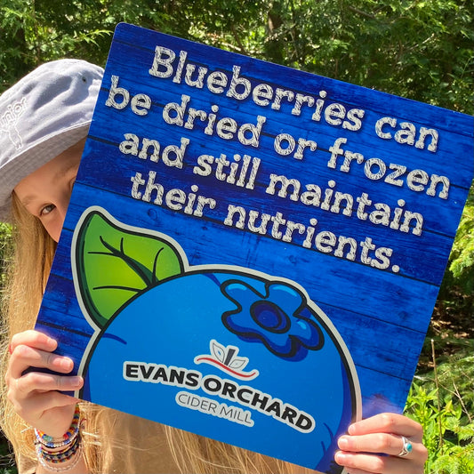 Blueberry Fact Signs (set of 6)