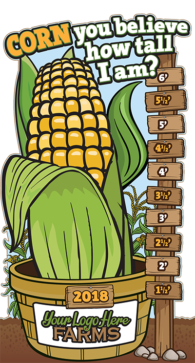 How Tall This Year?  (Corn and Scarecrow)