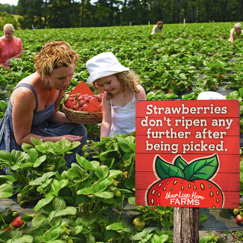 Strawberry Fact Signs (set of 6)